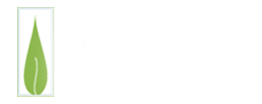 Chiropractic San Diego CA Biophysics Chiropractic Logo