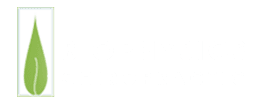 Chiropractic San Diego CA Biophysics Chiropractic Logo